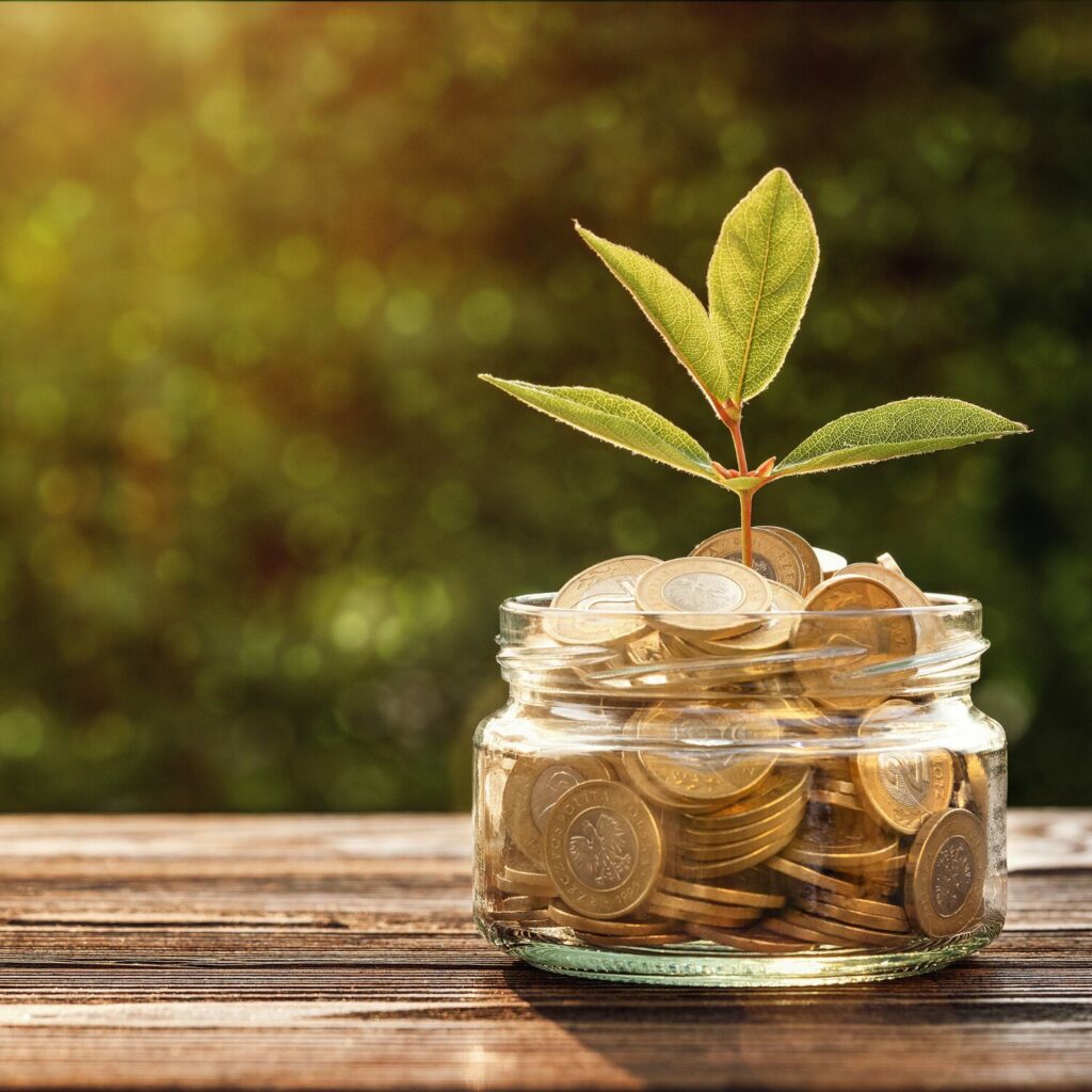 oxion-occitanie-pyrenees-orientales-narbonne-perpignan-toulouse-carcassonne-patrimoine-assurance-investissement-finance-epargne-defiscalisation-succession