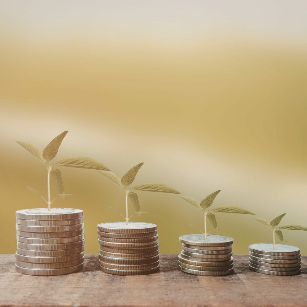 oxion-occitanie-pyrenees-orientales-narbonne-perpignan-toulouse-carcassonne-patrimoine-assurance-investissement-finance-epargne-defiscalisation-succession