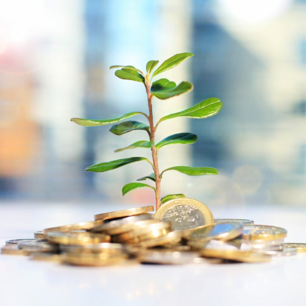 oxion-occitanie-pyrenees-orientales-narbonne-perpignan-toulouse-carcassonne-patrimoine-assurance-investissement-finance-epargne-defiscalisation-succession