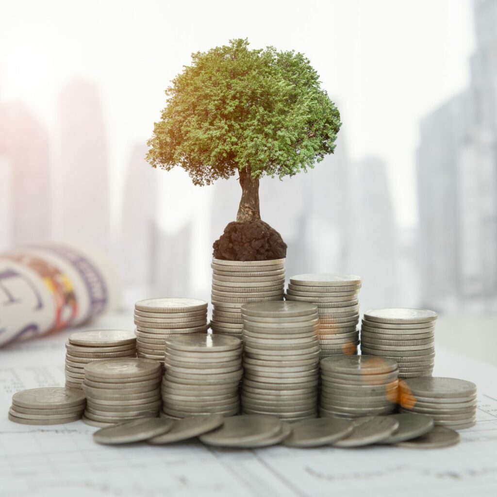 oxion-occitanie-pyrenees-orientales-narbonne-perpignan-toulouse-carcassonne-patrimoine-assurance-investissement-finance-epargne-defiscalisation-succession